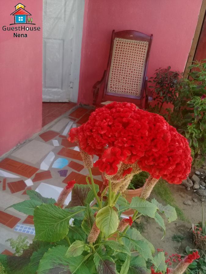 Guest House Nena Moyogalpa Exterior photo
